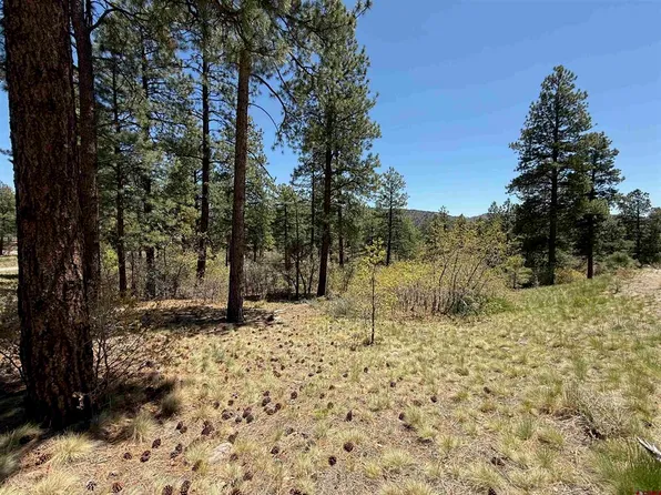 TBD Ventana Pass, Durango, CO 81301