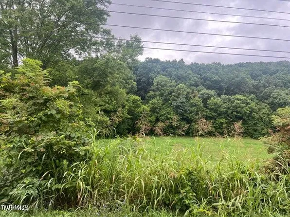 Rheatown Rd, Chuckey, TN 37641