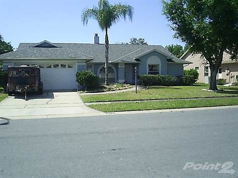 3054eaglet1