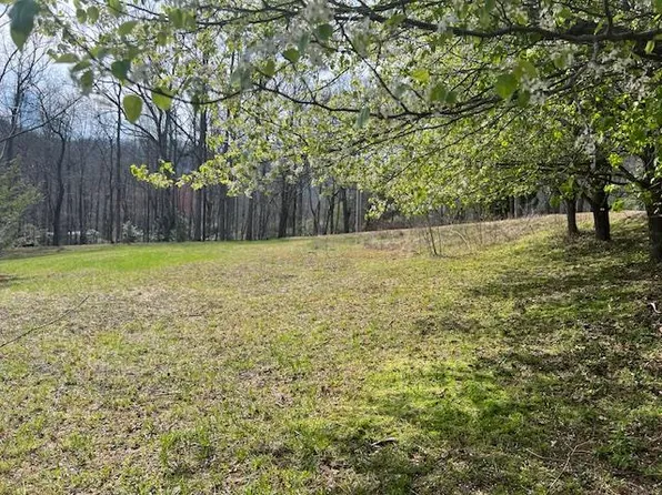 Twin Mountain Rd, Hiawassee, GA 30546