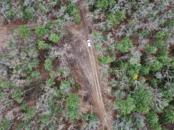 8404 E Wilderness Trl, White Cloud, MI 49349