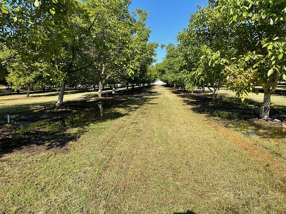 1st image of Webster Rd