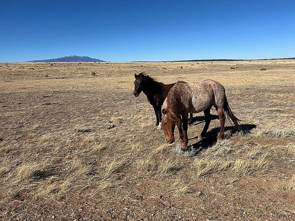 5th image of LOT-75A River Ridge Rnch