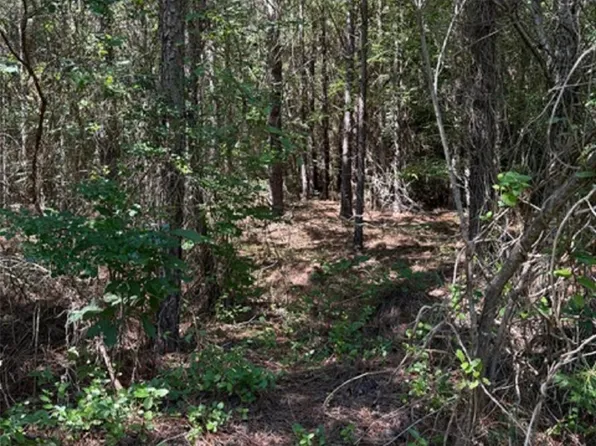 0 Daisy Rd, Lilesville, NC 28091