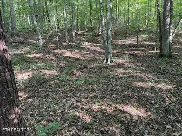 0 Bull Run Rd, Luttrell, TN 37779