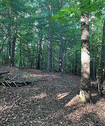 3rd image of Lot 13 Lakewood Subdivision