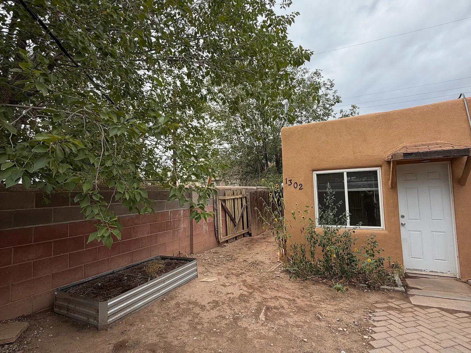 1 bed, $1,000 — Photo 3
