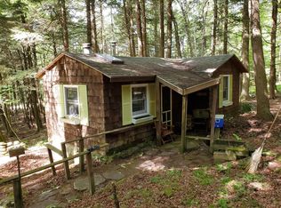 2804 Pine Swamp Rd, Sidney Center, NY 13839