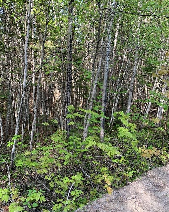 2nd image of David Rd