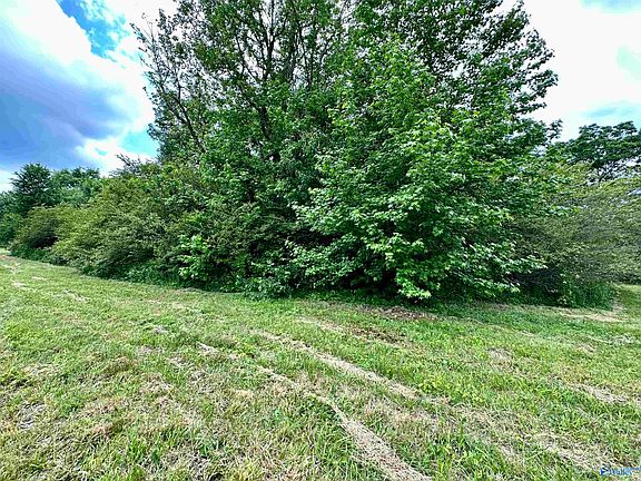 3rd image of LOT 3 County Road 1009