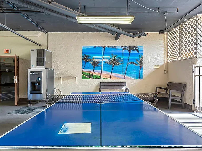 Ping Pong Table
