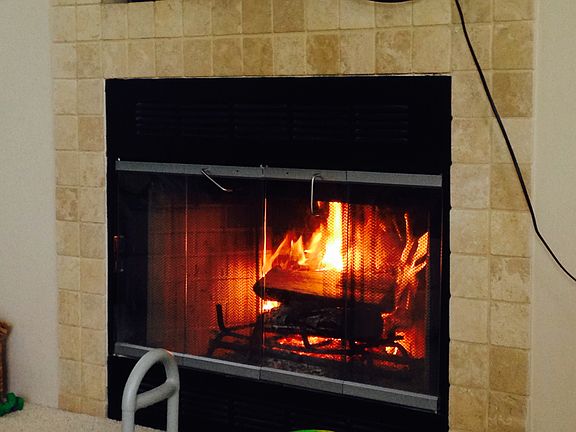 Family Rm Fireplace
