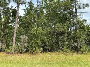 SW 131st Loop LOT 6, Ocala, FL 34473