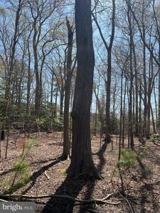 LOT 22 Pine Grove Ln, Ocean View, DE, 19970