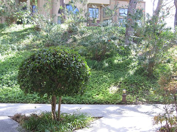 3rd image of 9409 Lake Murray Blvd Unit E