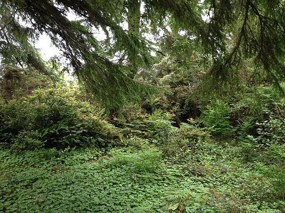 2nd image of Tacoma Ave And Olympia Street