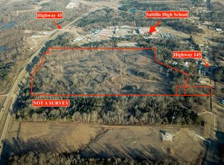 Highway 45, Saltillo, MS 38866