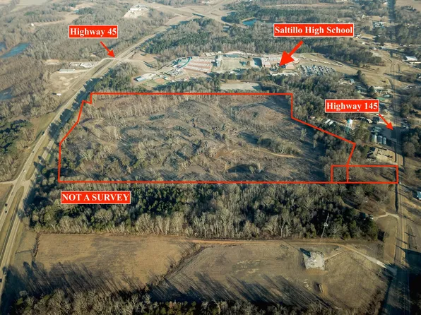 Highway 45, Saltillo, MS 38866