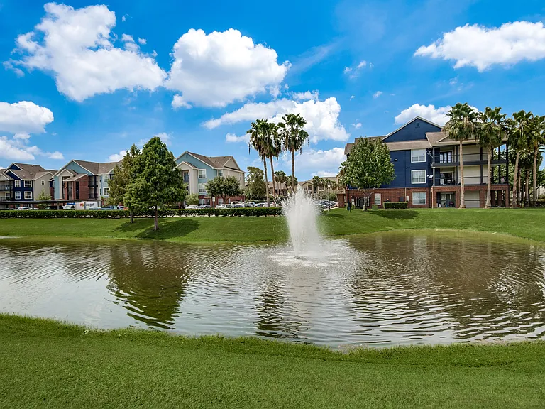 Aventura on Briar Forest — Photo 24