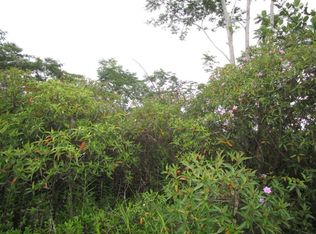 5th Avenue Ekaha LOT 2440, Keaau, HI 96749