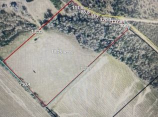 33 Bushes Mill Rd, Hawkinsville, GA 31036