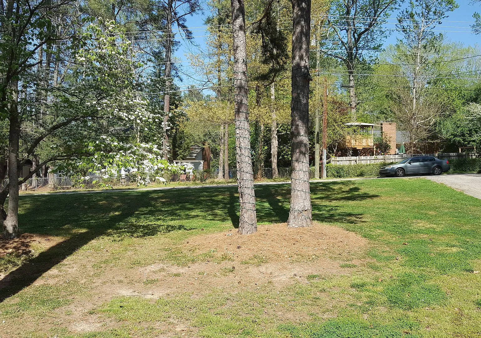 North Hills 4 bedroom for rent — Photo 4