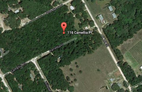2nd image of 116 Camellia Dr