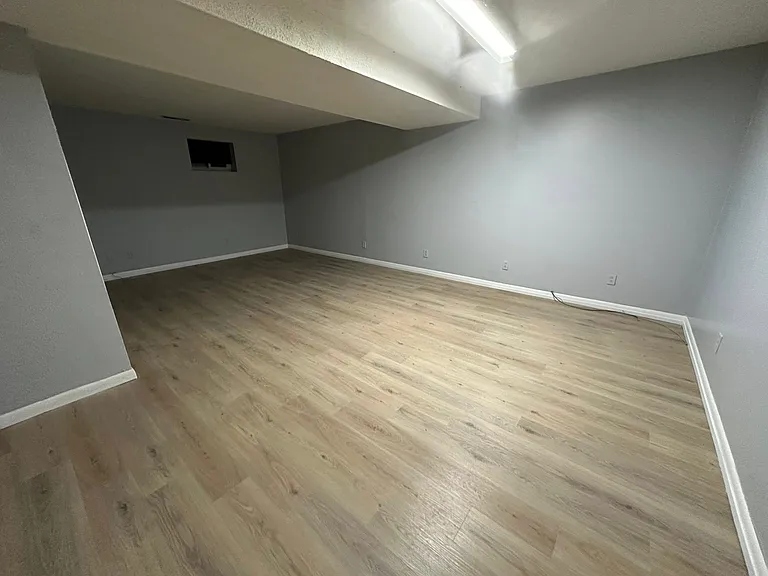 Lower level Family Room