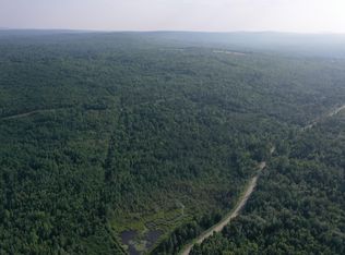 90 Gales Rd, Abbot, ME 04406