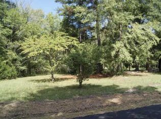 164 John Kinards Cir, Chapin, SC 29036
