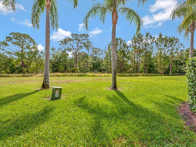 3050 White Orchid Rd — Photo 42