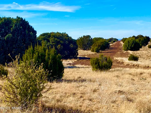 County Road 8305, Concho, AZ 85924