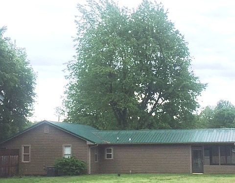 side view
