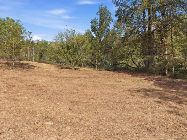 0 Gladston Rd, Mount Airy, GA 30563