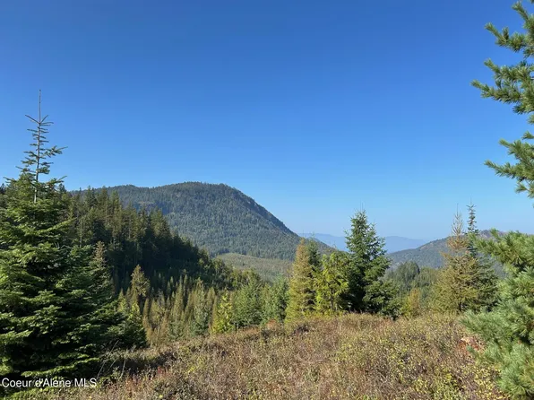 TRACT 6 Usfs Rd #2294, Clark Fork, ID 83811