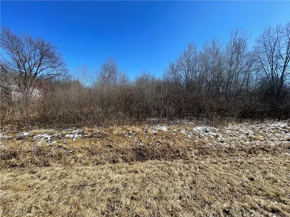 Fortney Rd, Orwell, OH 44076