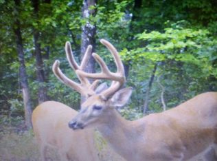 Waid Rd LOT WP001, Benton, KY 42025