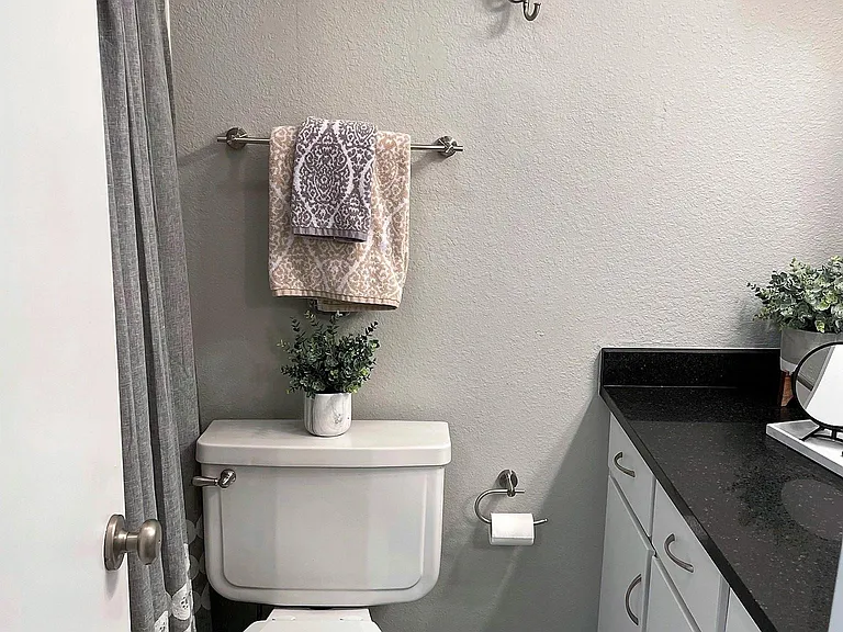 Hallway Bathroom