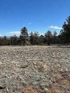 1072 Wagon Wheel Road  Lot 272, Hartsel, CO, 80449