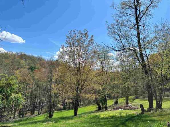 Silent Grove Rd, Philippi, WV 26416