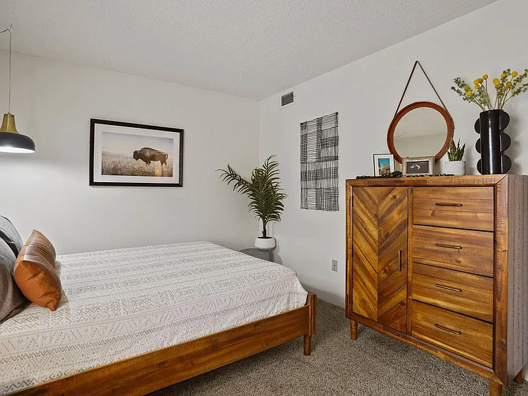 Phoenix Apts. — Photo 3