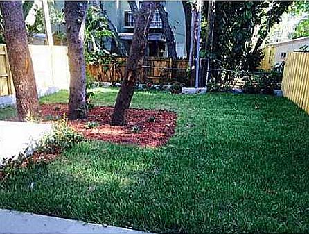 5th image of 412 SW 13th St
