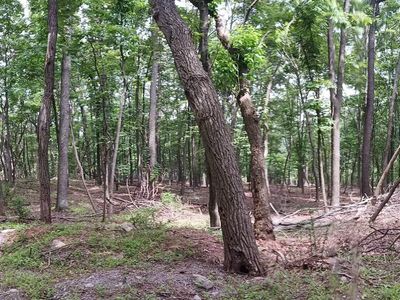 6 Wild Apple Ln, Paw Paw, WV, 25434