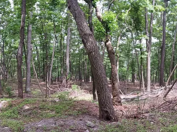 6 Wild Apple Ln, Paw Paw, WV 25434
