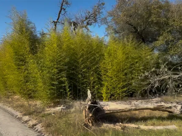 251 Timberline Dr, Whitney, TX 76692