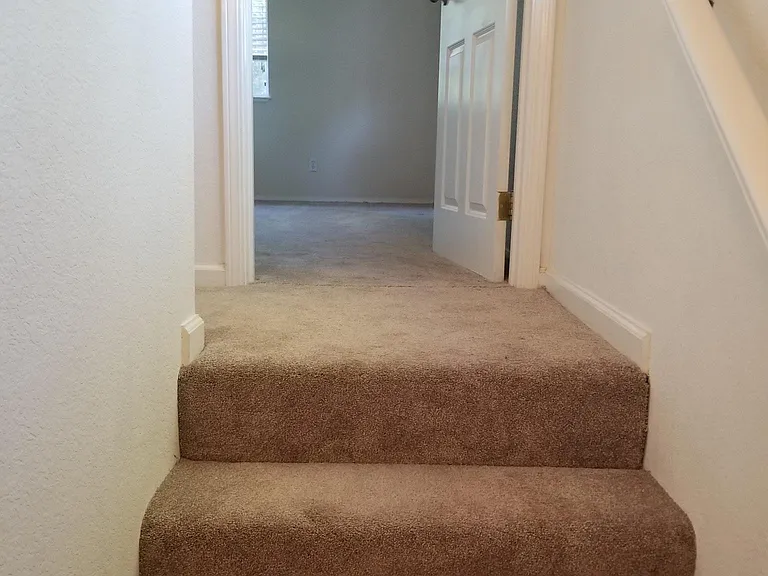 7565 Bodega Ave #4 — Photo 12