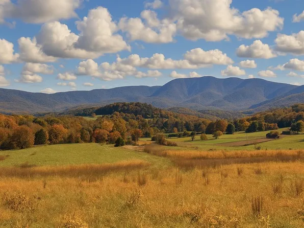 LOT-63B Buck Mountain Rd, Bentonville, VA 22610