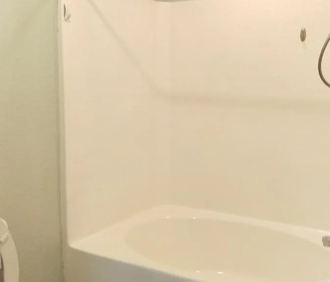 Large master tub