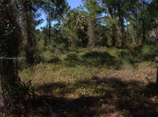 Lee County Unincorporated, Lehigh Acres, FL 33972
