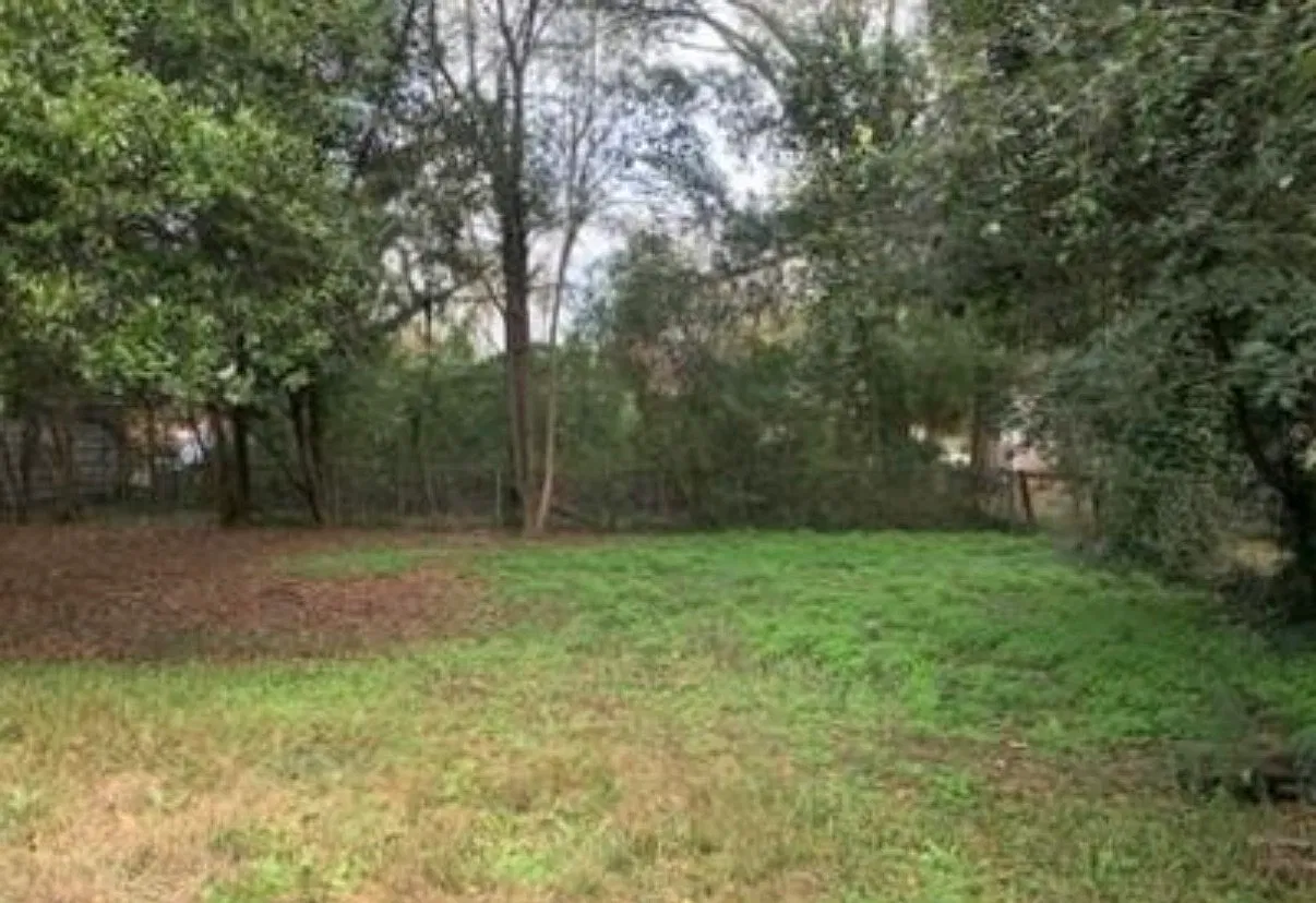 2 bed, 868 sqft, $900 — Photo 2